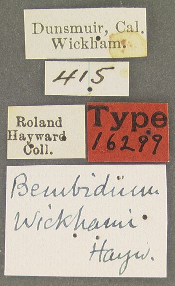 Media type: image; Entomology 16299   Aspect: labels